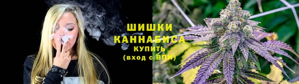 соль ск Абаза