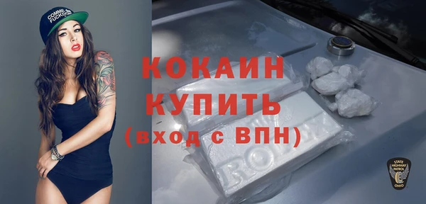 соль ск Абаза